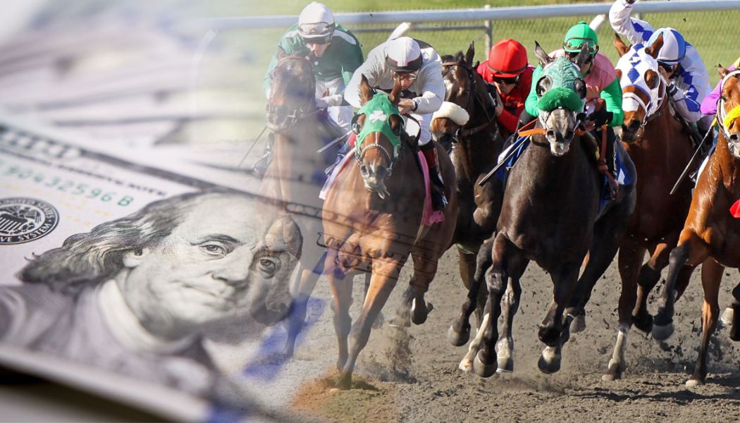 Horse Racing Betting Guide: Sportsbook, League & Teams to Bet on