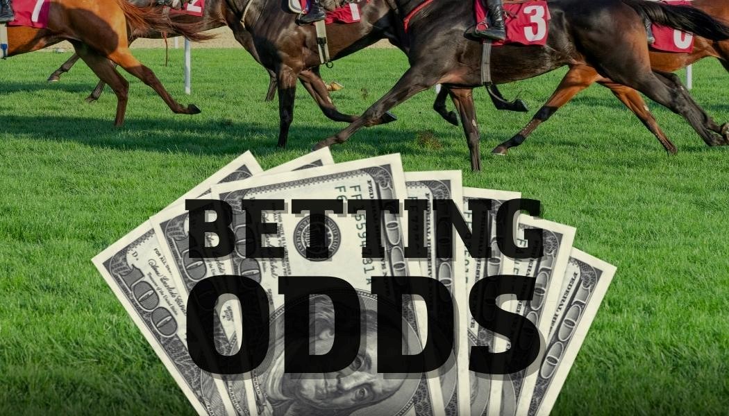Betting Odds Explained Horse Racing